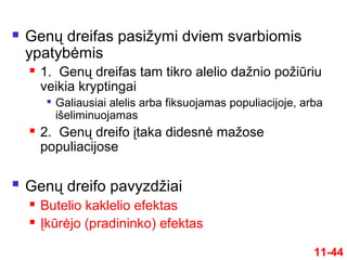  Genų dreifas pasižymi dviem svarbiomis
ypatybėmis
 1. Genų dreifas tam tikro alelio dažnio požiūriu
veikia kryptingai

Galiausiai alelis arba fiksuojamas populiacijoje, arba
išeliminuojamas
 2. Genų dreifo įtaka didesnė mažose
populiacijose
 Genų dreifo pavyzdžiai
 Butelio kaklelio efektas
 Įkūrėjo (pradininko) efektas
11-44
 