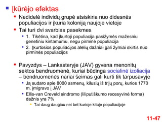 11-47
 Įkūrėjo efektas
 Nedidelė individų grupė atsiskiria nuo didesnės
populiacijos ir įkuria koloniją naujoje vietoje
 Tai turi dvi svarbias pasekmes

1. Tikėtina, kad įkurtoji populiacija pasižymės mažesniu
genetiniu kintamumu, negu pirminė populiacija

2. Įkurtosios populiacijos alelių dažniai gali žymiai skirtis nuo
pirminės populiacijos
 Pavyzdys – Lankasteryje (JAV) gyvena menonitų
sektos bendruomenė, kuriai būdinga socialinė izoliacija
– bendruomenės nariai šeimas gali kurti tik tarpusavyje

Ją sudaro apie 8000 asmenų, kilusių iš trijų porų, kurios 1770
m. įmigravo į JAV

Ellis-van Creveld sindromo (liliputiškumo recesyvinė forma)
dažnis yra 7%
 Tai daug daugiau nei bet kurioje kitoje populiacijoje
 