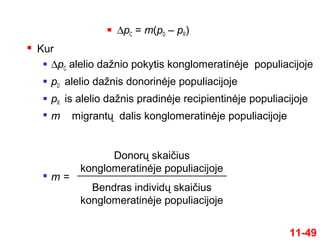  ∆pC = m(pD – pR)
11-49
 Kur
 ∆pC alelio dažnio pokytis konglomeratinėje populiacijoje
 pD alelio dažnis donorinėje populiacijoje
 pR is alelio dažnis pradinėje recipientinėje populiacijoje

m migrantų dalis konglomeratinėje populiacijoje

m =
Donorų skaičius
konglomeratinėje populiacijoje
Bendras individų skaičius
konglomeratinėje populiacijoje
 