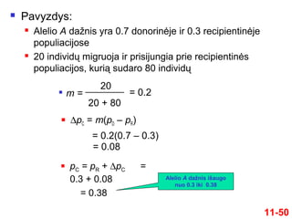  ∆pC = m(pD – pR)
= 0.2(0.7 – 0.3)
11-50
 Pavyzdys:
 Alelio A dažnis yra 0.7 donorinėje ir 0.3 recipientinėje
populiacijose
 20 individų migruoja ir prisijungia prie recipientinės
populiacijos, kurią sudaro 80 individų

m =
20
20 + 80
= 0.2
= 0.08
 pC = pR + ∆pC =
0.3 + 0.08
= 0.38
Alelio A dažnis išaugo
nuo 0.3 iki 0.38
 