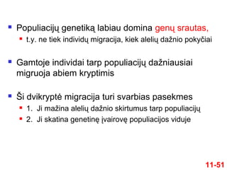 11-51
 Populiacijų genetiką labiau domina genų srautas,
 t.y. ne tiek individų migracija, kiek alelių dažnio pokyčiai
 Gamtoje individai tarp populiacijų dažniausiai
migruoja abiem kryptimis
 Ši dvikryptė migracija turi svarbias pasekmes
 1. Ji mažina alelių dažnio skirtumus tarp populiacijų
 2. Ji skatina genetinę įvairovę populiacijos viduje
 