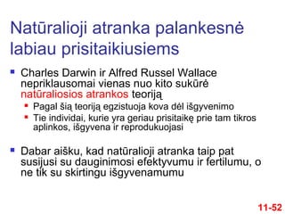  Charles Darwin ir Alfred Russel Wallace
nepriklausomai vienas nuo kito sukūrė
natūraliosios atrankos teoriją
 Pagal šią teoriją egzistuoja kova dėl išgyvenimo
 Tie individai, kurie yra geriau prisitaikę prie tam tikros
aplinkos, išgyvena ir reprodukuojasi
 Dabar aišku, kad natūralioji atranka taip pat
susijusi su dauginimosi efektyvumu ir fertilumu, o
ne tik su skirtingu išgyvenamumu
Natūralioji atranka palankesnė
labiau prisitaikiusiems
11-52
 