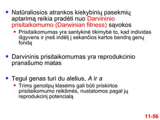  Natūraliosios atrankos kiekybinių pasekmių
aptarimą reikia pradėti nuo Darvininio
prisitaikomumo (Darwinian fitness) sąvokos
 Prisitaikomumas yra santykinė tikimybė to, kad individas
išgyvens ir įneš indėlį į sekančios kartos bendrą genų
fondą
 Darvininis prisitaikomumas yra reprodukcinio
pranašumo matas
 Tegul genas turi du alelius, A ir a
 Trims genotipų klasėms gali būti priskirtos
prisitaikomumo reikšmės, nustatomos pagal jų
reprodukcinį potencialą
11-56
 