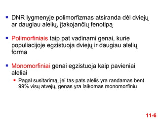  DNR lygmenyje polimorfizmas atsiranda dėl dviejų
ar daugiau alelių, įtakojančių fenotipą
 Polimorfiniais taip pat vadinami genai, kurie
populiacijoje egzistuoja dviejų ir daugiau alelių
forma
 Monomorfiniai genai egzistuoja kaip pavieniai
aleliai
 Pagal susitarimą, jei tas pats alelis yra randamas bent
99% visų atvejų, genas yra laikomas monomorfiniu
11-6
 