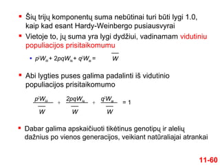 Šių trijų komponentų suma nebūtinai turi būti lygi 1.0,
kaip kad esant Hardy-Weinbergo pusiausvyrai
 Vietoje to, jų suma yra lygi dydžiui, vadinamam vidutiniu
populiacijos prisitaikomumu
11-60
 p2
WAA + 2pqWAa + q2
Waa = W
 Abi lygties puses galima padalinti iš vidutinio
populiacijos prisitaikomumo
p2
WAA
W
2pqWAa
W
+
q2
Waa
W
+ = 1
 Dabar galima apskaičiuoti tikėtinus genotipų ir alelių
dažnius po vienos generacijos, veikiant natūraliajai atrankai
 