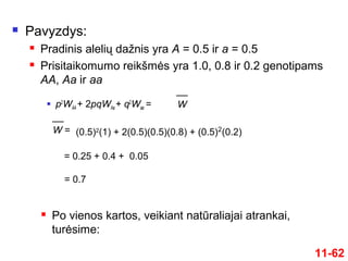  Pavyzdys:
 Pradinis alelių dažnis yra A = 0.5 ir a = 0.5
 Prisitaikomumo reikšmės yra 1.0, 0.8 ir 0.2 genotipams
AA, Aa ir aa
11-62
 p2
WAA + 2pqWAa + q2
Waa = W
 Po vienos kartos, veikiant natūraliajai atrankai,
turėsime:
W = (0.5)2
(1) + 2(0.5)(0.5)(0.8) + (0.5)2
(0.2)
= 0.25 + 0.4 + 0.05
= 0.7
 