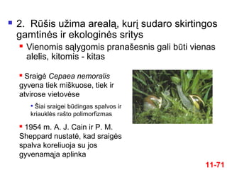 11-71
 2. Rūšis užima arealą, kurį sudaro skirtingos
gamtinės ir ekologinės sritys
 Vienomis sąlygomis pranašesnis gali būti vienas
alelis, kitomis - kitas
 Sraigė Cepaea nemoralis
gyvena tiek miškuose, tiek ir
atvirose vietovėse

Šiai sraigei būdingas spalvos ir
kriauklės rašto polimorfizmas
 1954 m. A. J. Cain ir P. M.
Sheppard nustatė, kad sraigės
spalva koreliuoja su jos
gyvenamąja aplinka
 