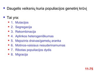  Daugelis veiksnių kuria populiacijos genetinį krūvį
 Tai yra:
 1. Mutacijos
 2. Segregacija
 3. Rekombinacija
 4. Aplinkos heterogeniškumas
 5. Mejozinis draivas/gametų aranka
 6. Motinos-vaisiaus nesuderinamumas
 7. Ribotas populiacijos dydis
 8. Migracija
11-75
 