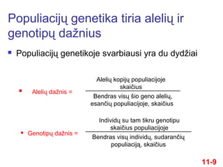  Populiacijų genetikoje svarbiausi yra du dydžiai
Populiacijų genetika tiria alelių ir
genotipų dažnius
11-9
 Alelių dažnis =
 Genotipų dažnis =
Bendras visų šio geno alelių,
esančių populiacijoje, skaičius
Alelių kopijų populiacijoje
skaičius
Bendras visų individų, sudarančių
populiaciją, skaičius
Individų su tam tikru genotipu
skaičius populiacijoje
 