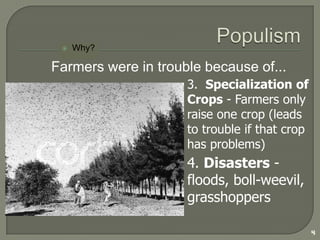 Farmers Were MadCrop-lien system (collateral was future $); what if you didn’t make enough money? Someone else owned the land—Banks, whitesInterest rates were high (not uncommon—25%)Dollars to pay off debts were hard to getDelhi, Louisiana (1889): Farmers tried to cancel their debts by tearing down stores and banks!5