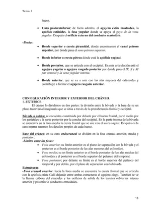 Tema 1

hueso.
•

Cara posteroinferior; de fuera adentro, el agujero estilo mastoideo, la
apófisis estiloides, la fosa yugular donde se apoya el goyo de la vena
yugular. Después el orificio externo del conducto mastoideo.

•

Borde superior o cresta piramidal, donde encontramos el canal petroso
superior, por donde pasa el seno petroso superior.

•

Borde inferior o cresta pétrea dónde está la apófisis vaginal.

•

Borde posterior, que se articula con el occipital. En esta articulación está el
agujero yugular o agujero rasgado posterior por donde pasa el IX, X y XI
par craneal y la vena yugular interna.

•

Borde anterior, que se va a unir con las alas mayores del esfenoides y
contribuye a formar el agujero rasgado anterior.

-Bordes:

CONFIGURACIÓN INTERIOR Y EXTERIOR DEL CRÁNEO.
1.-EXTERIOR
El cráneo lo dividimos en dos partes: la división entre la bóveda y la base de su un
plano transversal imaginario que se sitúa a través de la protuberancia frontal y occipital.
Bóveda o calota; se encuentra constituida por delante por el hueso frontal, parte media por
los parietales y la parte posterior por la concha del occipital. En la parte interna de la bóveda
se encuentra en la línea media la cresta frontal que se une con el surco sagital. Después en la
cara interna tenemos los detalles propios de cada hueso.
Base del cráneo; en su cara endocraneal se dividen en la fosa craneal anterior, media y
posterior;
-Límites entre las fosas:
• Fosa anterior; su límite anterior es el plano de separación con la bóveda y el
posterior es el borde posterior de las alas menores del esfenoides.
• Fosa media; su un límite anterior es el borde posterior de las alas medias del
esfenoides y el posterior es el borde superior del peñasco del temporal.
• Fosa posterior; por delante su límite es el borde superior del peñasco del
temporal y por detrás, por el plano de separación con la bóveda.
Estructuras:
-Fosa craneal anterior: hacia la línea media se encuentra la cresta frontal que se articula
con la apófisis crista Galli dejando entre ambas estructuras el agujero ciego. También se ve
la lámina cribosa del etmoides y los orificios de salida de los canales orbitarios interno
anterior y posterior o conductos etmoidales.

16

 