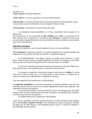Tema 1

Sus límites son:
-Límite superior: las líneas temporales.
-Límite inferior: es el arco cigomático y la cresta esfenotemporal.
-Pared medial: se encuentra formada por la escama del temporal, el hueso parietal, la cara
externa del ala mayor del esfenoides y la cara temporal del hueso frontal.
-Pared anterior: corresponde a la cara posterior del malar.
La articulación temporomandibular es la única articulación móvil presente en la
cabeza ósea.
Morfológicamente es una articulación de tipo condíleo, pero debido a la presencia de un
disco articular entre la superficie se convierte en una enartrosis. La diferencia está en que
sus movimientos quedan delimitados por la necesidad de realizar movimientos sincronizados
entre las dos articulaciones.
Superficies articulares
Tenemos dos superficies; una en la parte temporal y otra en la zona mandibular.
-En el temporal; la superficie articular se encuentra formada por la cavidad glenoidea del
temporal y la cara posterior del tubérculo articular o cóndilo del temporal.
La cavidad glenoidea es un espacio cóncavo en sentido antero posterior y medio
lateral. Tiene el mismo eje que el cóndilo mandibular. Su fondo está formado por una pared
ósea muy fina con lo que en traumatismos leves se puede romper con facilidad.
El resto de la superficie articular del temporal corresponde al resto del cóndilo en su
parte posterior que es una superficie convexa en sentido antero posterior.
En conjunto, la superficie central del del temporal tiene forma de S itálica. Su forma
varía con los años de modo que en el recién nacido es sólo cóncava y a medida que se
avanza en la edad hay un aplanamiento de superficies articulares.
Todo esta superficie está recubierta por un fibrocartílago.
-La superficie mandibular; se encuentra formada por el cóndilo mandibular. Este tiene una
superficie posterior que es convexa y una anterior ligeramente cóncava para adaptarse a las
superficies articulares del temporal.
El eje mayor del cóndilo es transversal paralelo al de la cavidad glenoidea. El cóndilo
termina en dos extremos apuntados de forma que el medial es más apuntado que el lateral y
se dobla un poco hacia la cara posterior.
El cóndilo también está recubierto por fibrocartílago.
-Entre las dos superficies articulares queda interpuesto un disco también de fibrocartílago
que se llaman disco o menisco articular. Está constituido por tejido cartilaginoso y fibroso
de manera que el tejido fibroso es más abundante hacia el centro y el tejido de cartílago es
más abundante hacia la periferia.
26

 