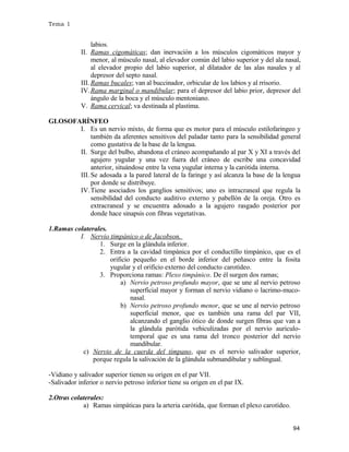 Tema 1

labios.
II. Ramas cigomáticas; dan inervación a los músculos cigomáticos mayor y
menor, al músculo nasal, al elevador común del labio superior y del ala nasal,
al elevador propio del labio superior, al dilatador de las alas nasales y al
depresor del septo nasal.
III. Ramas bucales; van al buccinador, orbicular de los labios y al rrisorio.
IV. Rama marginal o mandibular; para el depresor del labio prior, depresor del
ángulo de la boca y el músculo mentoniano.
V. Rama cervical; va destinada al plastima.
GLOSOFARÍNFEO
I. Es un nervio mixto, de forma que es motor para el músculo estilofaringeo y
también da aferentes sensitivos del paladar tanto para la sensibilidad general
como gustativa de la base de la lengua.
II. Surge del bulbo, abandona el cráneo acompañando al par X y XI a través del
agujero yugular y una vez fuera del cráneo de escribe una concavidad
anterior, situándose entre la vena yugular interna y la carótida interna.
III. Se adosada a la pared lateral de la faringe y así alcanza la base de la lengua
por donde se distribuye.
IV. Tiene asociados los ganglios sensitivos; uno es intracraneal que regula la
sensibilidad del conducto auditivo externo y pabellón de la oreja. Otro es
extracraneal y se encuentra adosado a la agujero rasgado posterior por
donde hace sinapsis con fibras vegetativas.
1.Ramas colaterales.
I. Nervio timpánico o de Jacobson.
1. Surge en la glándula inferior.
2. Entra a la cavidad timpánica por el conductillo timpánico, que es el
orificio pequeño en el borde inferior del peñasco entre la fosita
yugular y el orificio externo del conducto carotídeo.
3. Proporciona ramas: Plexo timpánico. De él surgen dos ramas;
a) Nervio petroso profundo mayor, que se une al nervio petroso
superficial mayor y forman el nervio vidiano o lacrimo-muconasal.
b) Nervio petroso profundo menor, que se une al nervio petroso
superficial menor, que es también una rama del par VII,
alcanzando el ganglio ótico de donde surgen fibras que van a
la glándula parótida vehiculizadas por el nervio auriculotemporal que es una rama del tronco posterior del nervio
mandibular.
c) Nervio de la cuerda del tímpano, que es el nervio salivador superior,
porque regula la salivación de la glándula submandibular y sublingual.
-Vidiano y salivador superior tienen su origen en el par VII.
-Salivador inferior o nervio petroso inferior tiene su origen en el par IX.
2.Otras colaterales:
a) Ramas simpáticas para la arteria carótida, que forman el plexo carotídeo.
94

 