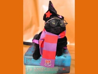 Poque os animais detestam o carnaval