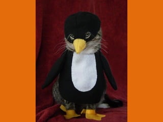 Poque os animais detestam o carnaval