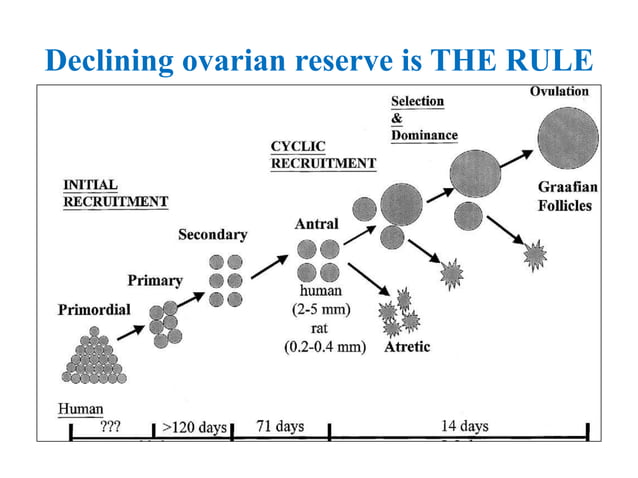 Diagnosis and Management of Poor Ovarian Reserve : Evidence & Practice ...