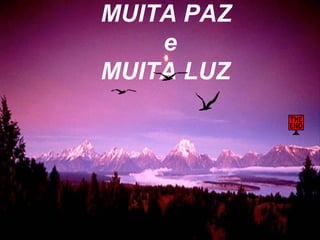 MUITA PAZ e MUITA LUZ 