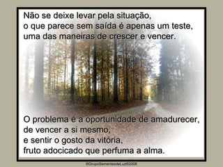 ®GrupoSementesdeLuz®2008 Não se deixe levar pela situação, o que parece sem saída é apenas um teste, uma das maneiras de crescer e vencer. O problema é a oportunidade de amadurecer, de vencer a si mesmo,  e sentir o gosto da vitória, fruto adocicado que perfuma a alma. 