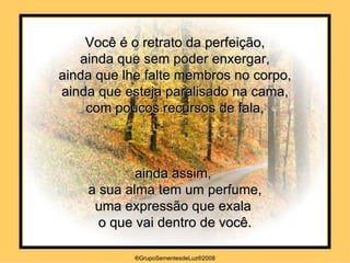 Você é o retrato da perfeição, ainda que sem poder enxergar, ainda que lhe falte membros no corpo, ainda que esteja paralisado na cama, com poucos recursos de fala, ainda assim,  a sua alma tem um perfume, uma expressão que exala  o que vai dentro de você. ®GrupoSementesdeLuz®2008 