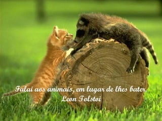 Falai aos animais, em lugar de lhes bater. Leon Tolstoi 