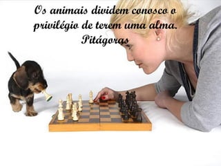 Os animais dividem conosco o privilégio de terem uma alma. Pitágoras 