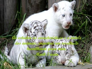 Ao estudar as características e a índole dos animais, encontrei um resultado humilhante para mim. Mark Twain 