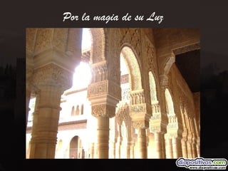 Por la magia de su Luz 