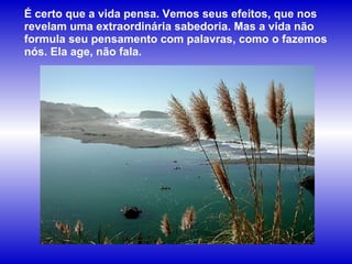 É certo que a vida pensa. Vemos seus efeitos, que nos revelam uma extraordinária sabedoria. Mas a vida não formula seu pensamento com palavras, como o fazemos nós. Ela age, não fala.  