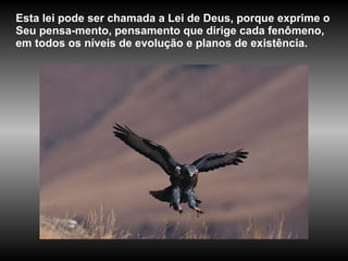 Esta lei pode ser chamada a Lei de Deus, porque exprime o Seu pensa-mento, pensamento que dirige cada fenômeno, em todos os níveis de evolução e planos de existência. 