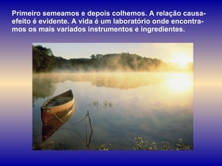 Primeiro semeamos e depois colhemos. A relação causa-efeito é evidente. A vida é um laboratório onde encontra-mos os mais variados instrumentos e ingredientes.  
