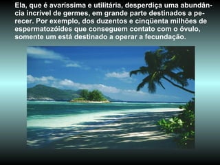 Ela, que é avaríssima e utilitária, desperdiça uma abundân-cia incrível de germes, em grande parte destinados a pe-recer. Por exemplo, dos duzentos e cinqüenta milhões de espermatozóides que conseguem contato com o óvulo, somente um está destinado a operar a fecundação. 