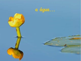 a água... 