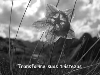 Transforme suas tristezas 