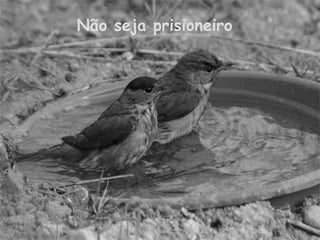 Não seja prisioneiro 