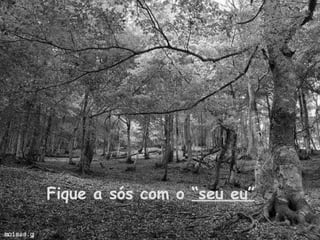 Fique a sós com o  “seu eu” 