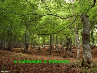 e contemple a natureza... 