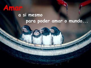 Amar a si mesmo para poder amar o mundo... 