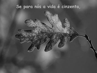 Se para nós a vida é cinzenta, 