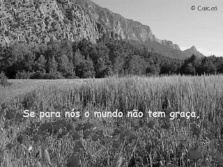 Se para nós o mundo não tem graça, 