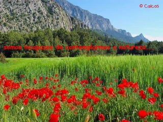 somos incapazes de contemplarmos a natureza... 