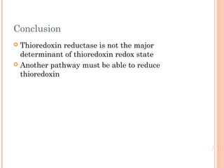 Conclusion
 Thioredoxin reductase is not the major
determinant of thioredoxin redox state
 Another pathway must be able to reduce
thioredoxin
 