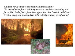 William Rowe's makes his point with this example: "In some distant forest lightning strikes a dead tree, resulting in a forest fire. In the fire a fawn is trapped, horribly burned, and lies in terrible agony for several days before death relieves its suffering." 