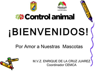 ¡BIENVENIDOS!
 Por Amor a Nuestras Mascotas

        M.V.Z. ENRIQUE DE LA CRUZ JUAREZ
                 Coordinador CEMCA
 