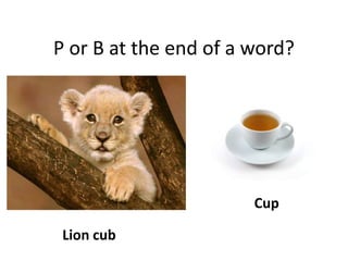 P or B at the end of a word?




                       Cup

 Lion cub
 