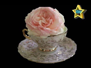 Porcelane c.f am    okk