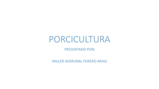 PORCICULTURA
PRESENTADO POR:
MILLER ASDRUBAL FORERO ARIAS
 