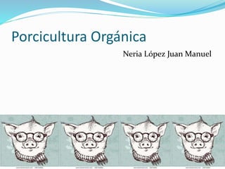 Porcicultura Orgánica
Neria López Juan Manuel
 