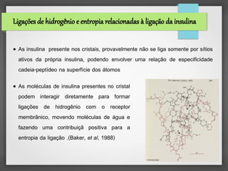 Ligações de hidrogênio e entropia relacionadas à ligação da insulina


●   As insulina presente nos cristais, provavelmente não se liga somente por sítios
    ativos da própria insulina, podendo envolver uma relação de especificidade
    cadeia-peptídeo na superfície dos átomos
●   As moléculas de insulina presentes no cristal
    podem interagir diretamente para formar
    ligações de hidrogênio com o receptor
    membrânico, movendo moléculas de água e
    fazendo uma contribuiçã positiva para a
    entropia da ligação .(Baker, et al, 1988)
 