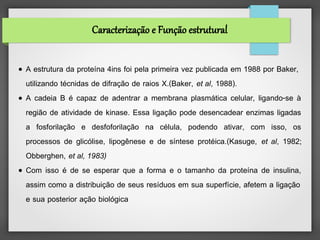 Caracterização e Função estrutural


● A estrutura da proteína 4ins foi pela primeira vez publicada em 1988 por Baker,
  utilizando técnidas de difração de raios X.(Baker, et al, 1988).
● A cadeia B é capaz de adentrar a membrana plasmática celular, ligando-se à

  região de atividade de kinase. Essa ligação pode desencadear enzimas ligadas
  a fosforilação e desfoforilação na célula, podendo ativar, com isso, os
  processos de glicólise, lipogênese e de síntese protéica.(Kasuge, et al, 1982;
  Obberghen, et al, 1983)
● Com isso é de se esperar que a forma e o tamanho da proteína de insulina,

  assim como a distribuição de seus resíduos em sua superfície, afetem a ligação
  e sua posterior ação biológica
 