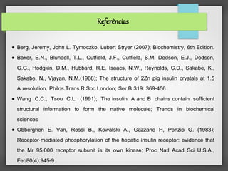 Referências

● Berg, Jeremy, John L. Tymoczko, Lubert Stryer (2007); Biochemistry, 6th Edition.
● Baker, E.N., Blundell, T.L., Cutfield, J.F., Cutfield, S.M. Dodson, E.J., Dodson,

  G.G., Hodgkin, D.M., Hubbard, R.E. Isaacs, N.W., Reynolds, C.D., Sakabe, K.,
  Sakabe, N., Vjayan, N.M.(1988); The structure of 2Zn pig insulin crystals at 1.5
  A resolution. Philos.Trans.R.Soc.London; Ser.B 319: 369-456
● Wang C.C., Tsou C.L. (1991); The insulin A and B chains contain sufficient

  structural information to form the native molecule; Trends in biochemical
  sciences
● Obberghen E. Van, Rossi B., Kowalski A., Gazzano H, Ponzio G. (1983);

  Receptor-mediated phosphorylation of the hepatic insulin receptor: evidence that
  the Mr 95,000 receptor subunit is its own kinase; Proc Natl Acad Sci U.S.A.,
  Feb80(4):945-9
 